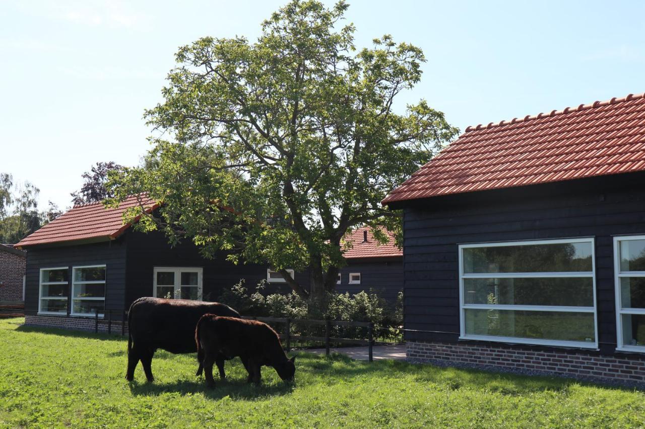 Met de Kippen op Stok - Vakantiehuisjes Baexem Buitenkant foto