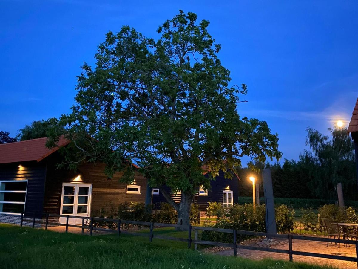 Met de Kippen op Stok - Vakantiehuisjes Baexem Buitenkant foto