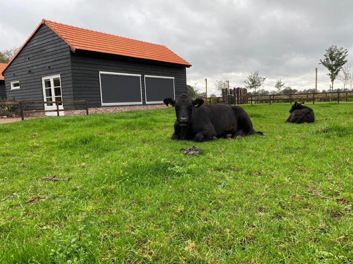 Met de Kippen op Stok - Vakantiehuisjes Baexem Buitenkant foto