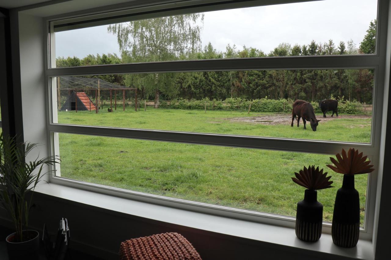 Met de Kippen op Stok - Vakantiehuisjes Baexem Buitenkant foto