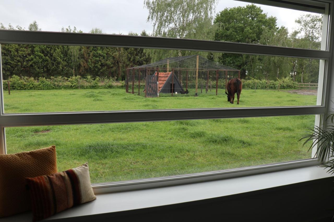 Met de Kippen op Stok - Vakantiehuisjes Baexem Buitenkant foto