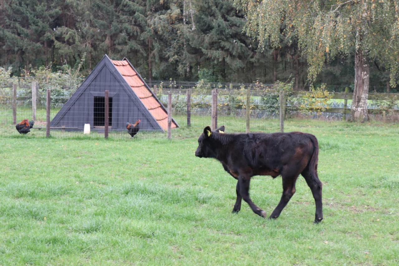 Met de Kippen op Stok - Vakantiehuisjes Baexem Buitenkant foto