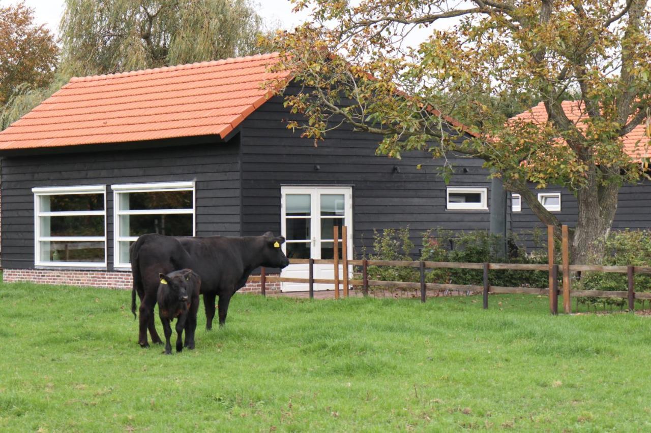 Met de Kippen op Stok - Vakantiehuisjes Baexem Buitenkant foto